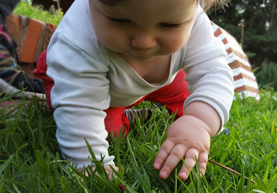 Desarrollo Visual y Motor - AVERA CENTRO DE OPTOMETRÍA Y TERAPIA VISUAL EN MÁLAGA