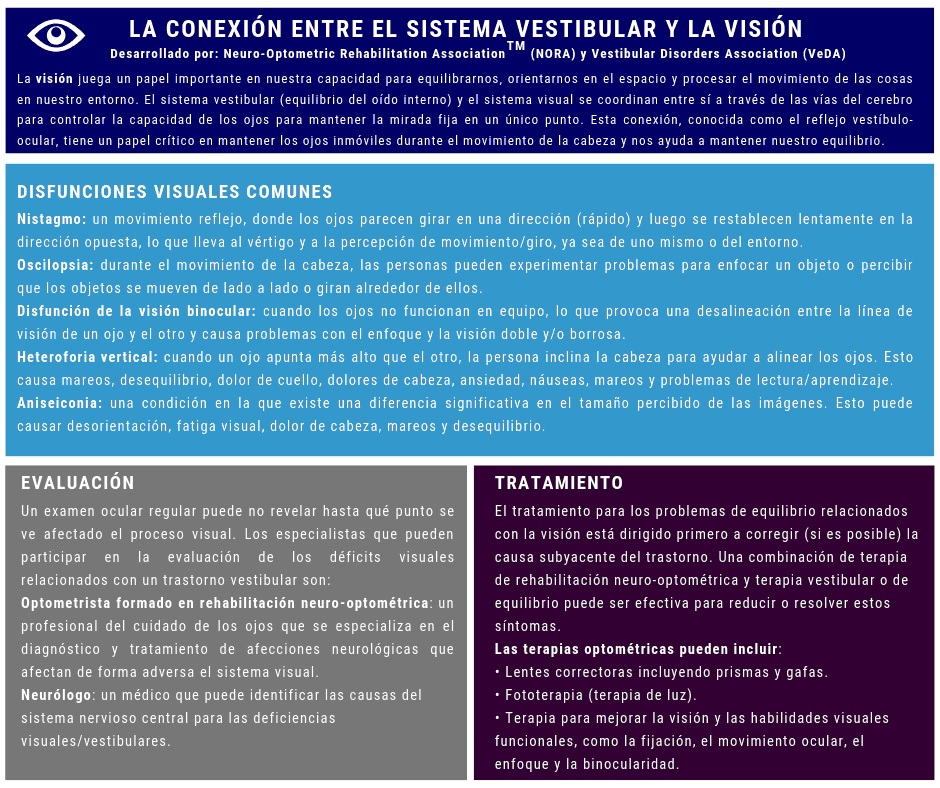 sistema vestibular y visión