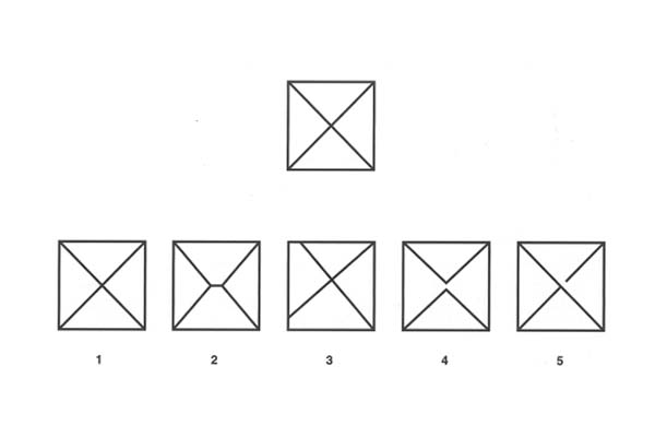discriminacion visual