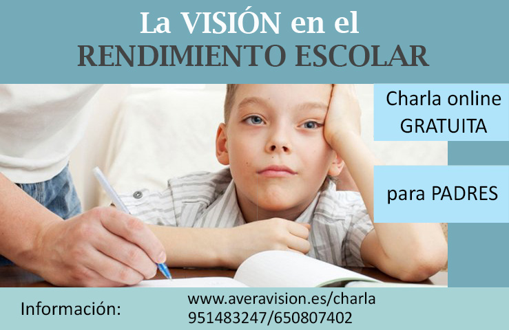 charla padres vision aprendizaje escolar